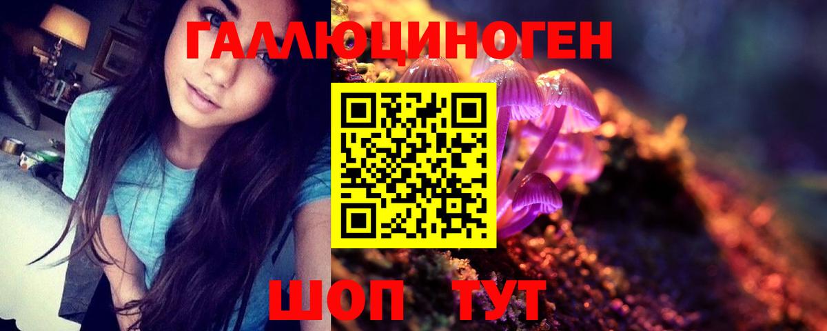 Псилоцибиновые грибы мухоморы Советская Гавань